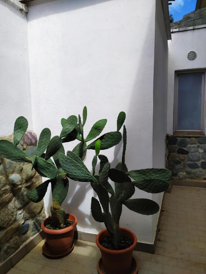Hotel Torre Celle Ligure Dış mekan fotoğraf
